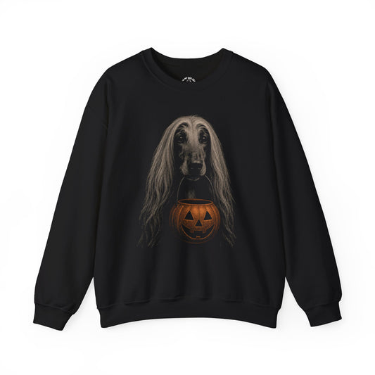 Afghan Hound Halloween Sweatshirt – Boop or Treat