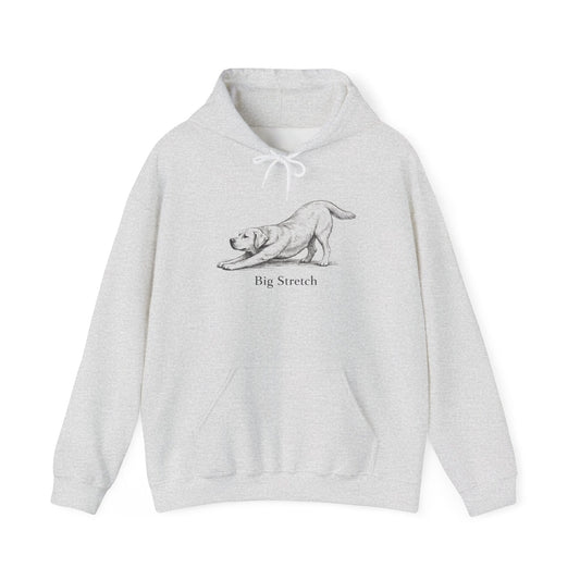Big Stretch Labrador Retriever - Hoodie