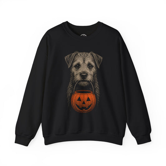 Border Terrier Halloween Sweatshirt – Boop or Treat