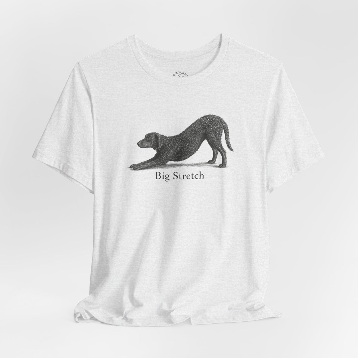 Big Stretch Curly Coated Retriever T-Shirt