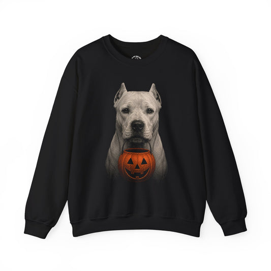 Dogo Argentino Halloween Sweatshirt – Boop or Treat