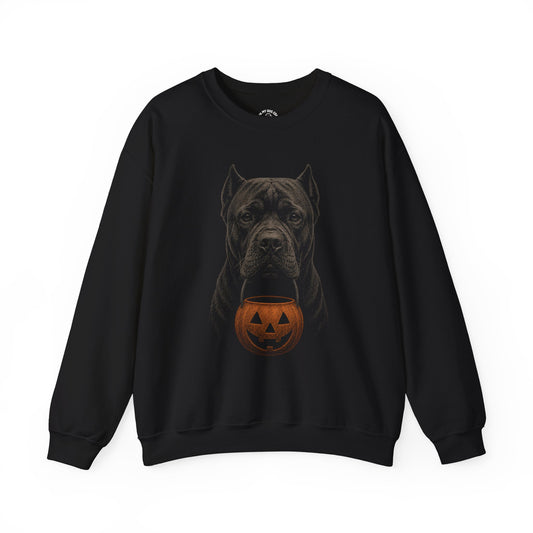 Cane Corso Halloween Sweatshirt – Boop or Treat