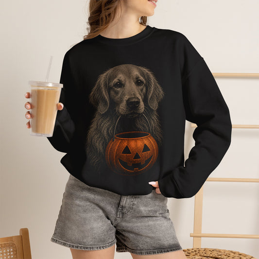Golden Retriever Halloween Sweatshirt – Boop or Treat