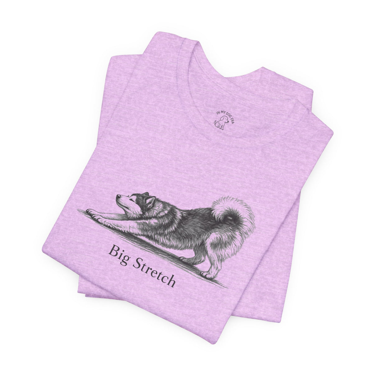 Big Stretch Alaskan Malamute T-Shirt