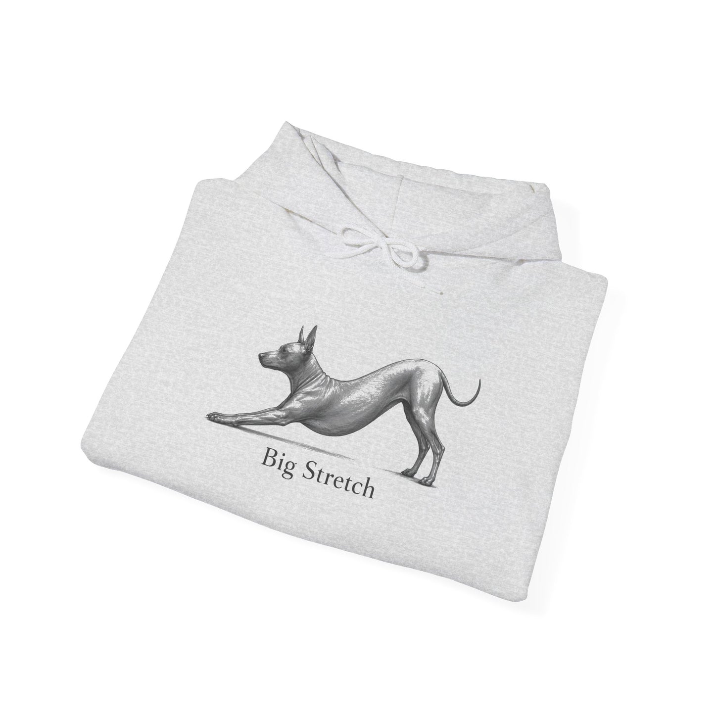 Big Stretch Xoloitzcuintli - Hoodie
