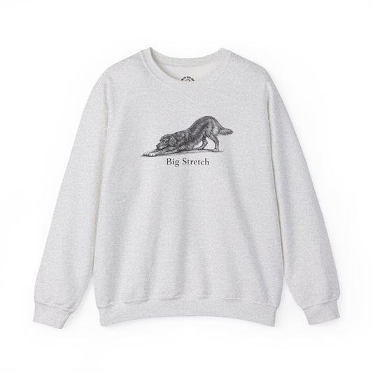 Big Stretch Irish Setter Sweatshirt