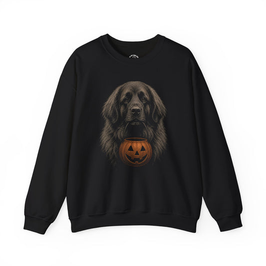 Leonberger Halloween Sweatshirt – Boop or Treat