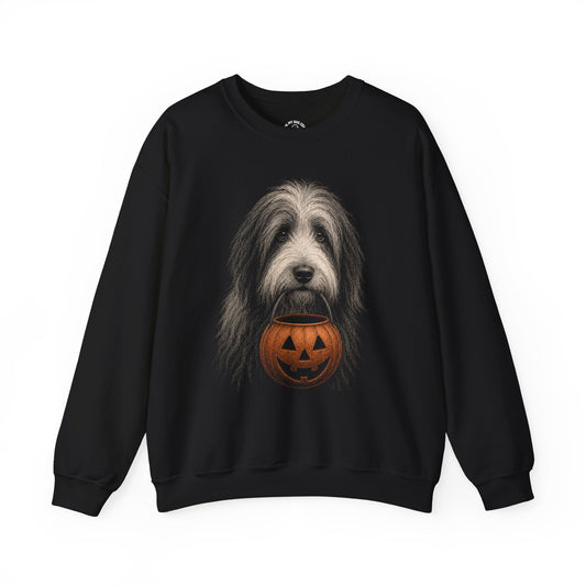 Bearded Collie Halloween Sweatshirt – Boop or Treat