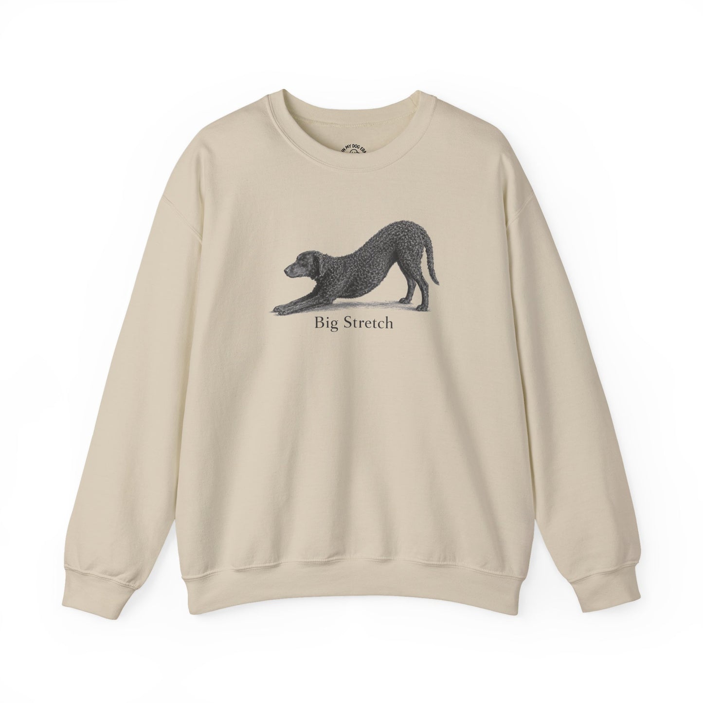 Big Stretch Curly Coated Retriever Sweatshirt
