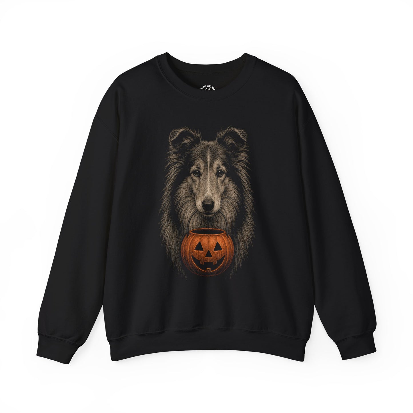 Collie Halloween Sweatshirt – Boop or Treat