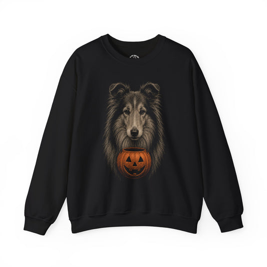 Collie Halloween Sweatshirt – Boop or Treat