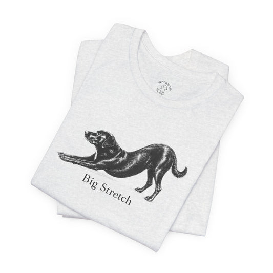 Big Stretch Super Mutt T-Shirt (Murphy)