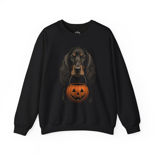 Gordon Setter Halloween Sweatshirt – Boop or Treat