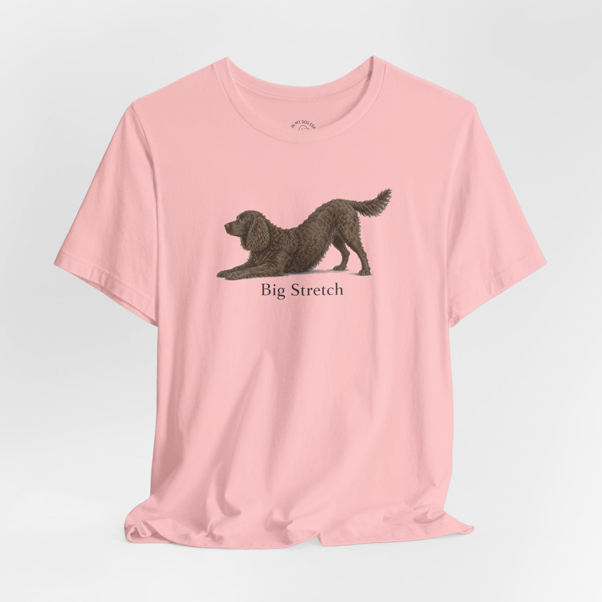 Big Stretch American Water Spaniel T-Shirt
