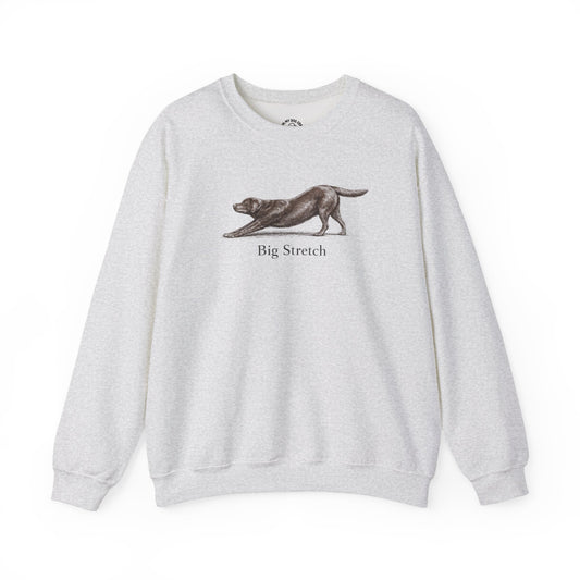 Big Stretch Chocolate Labrador Retriever Sweatshirt