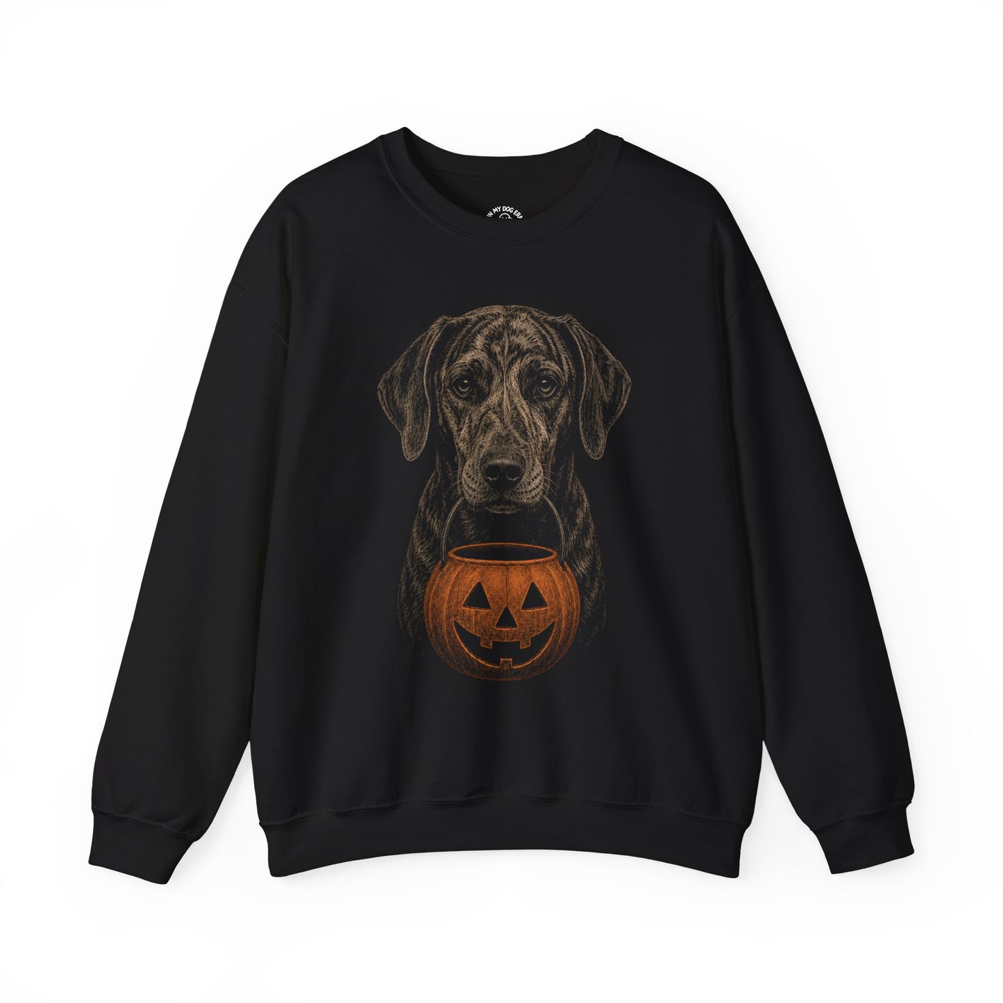 Plott Hound Halloween Sweatshirt – Boop or Treat