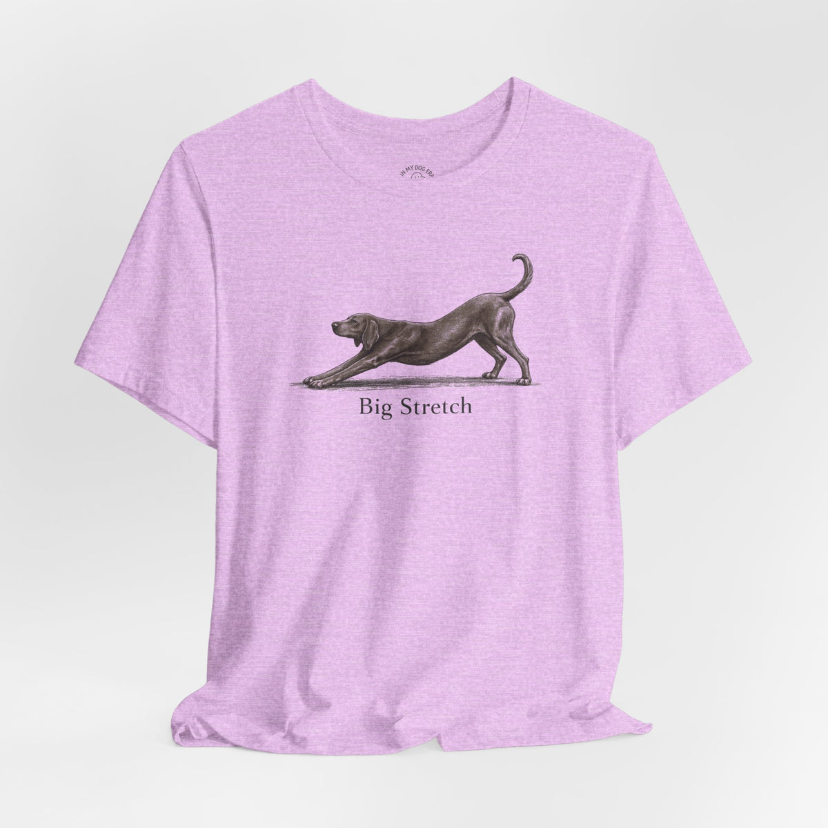Big Stretch Redbone Coonhound T-Shirt