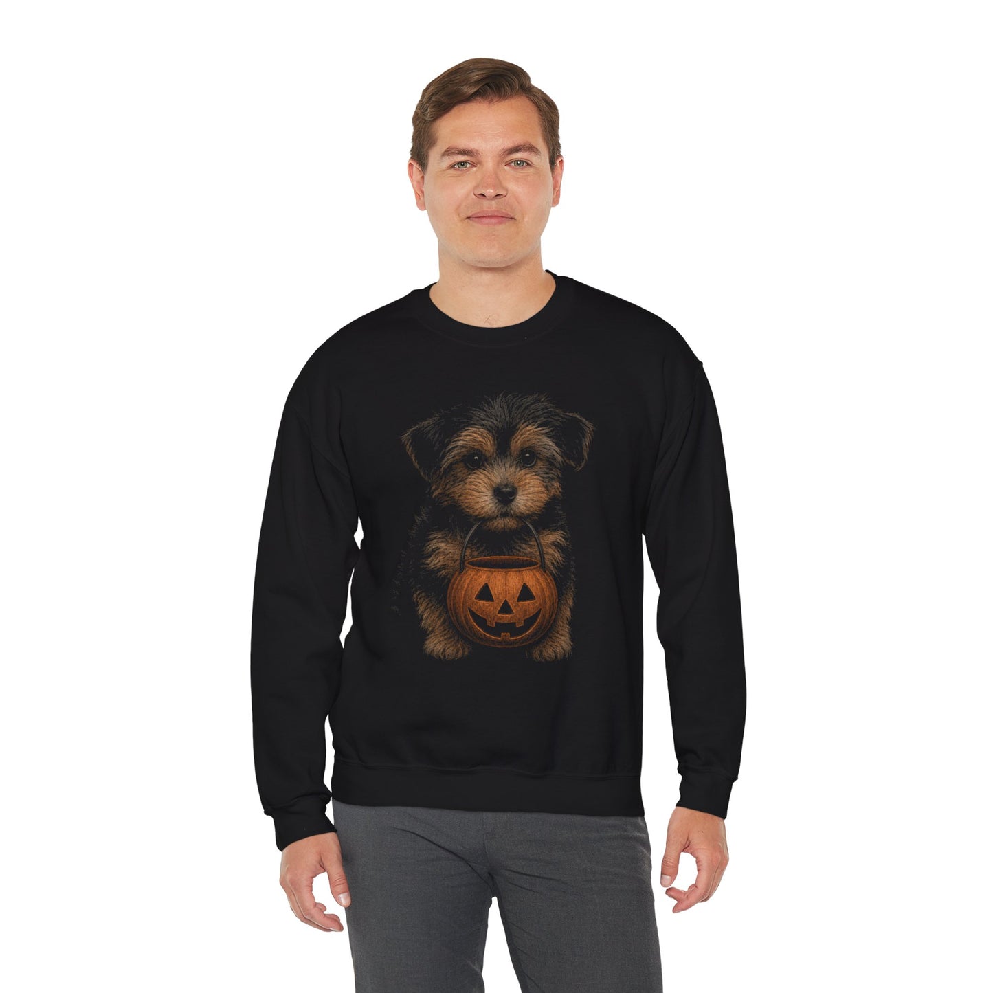 Yorkipoo Halloween Sweatshirt – Boop or Treat
