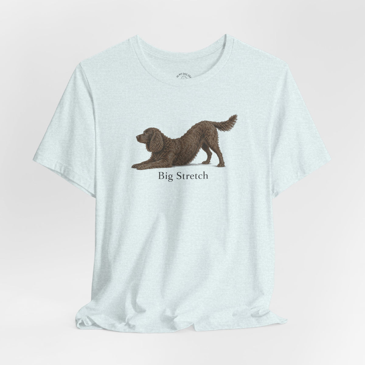 Big Stretch American Water Spaniel T-Shirt
