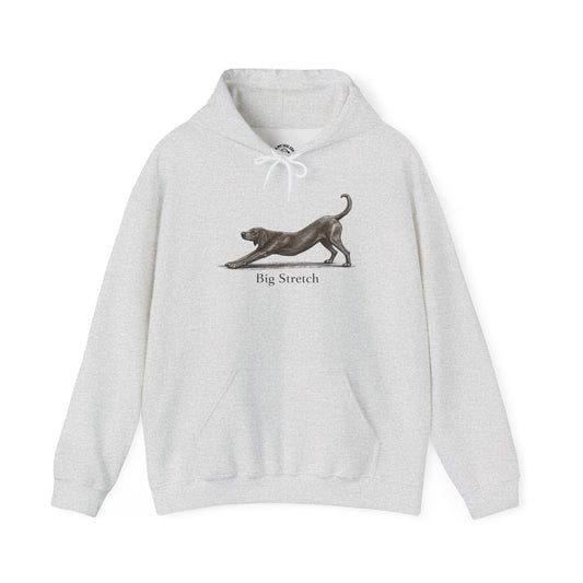 Big Stretch Redbone Coonhound - Hoodie
