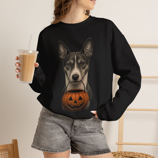 Basenji Halloween Sweatshirt – Boop or Treat