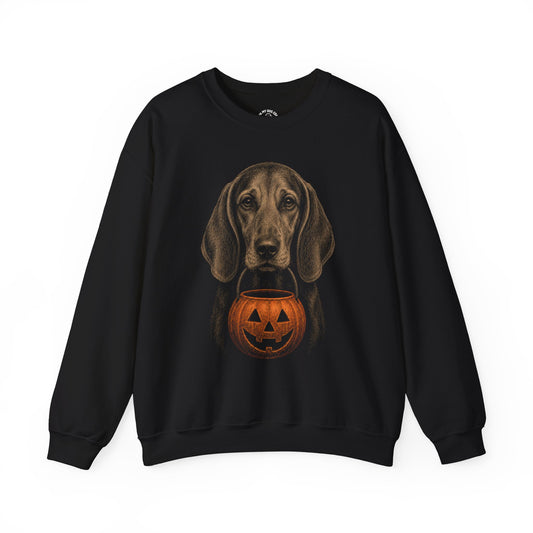 Redbone Coonhound Halloween Sweatshirt – Boop or Treat