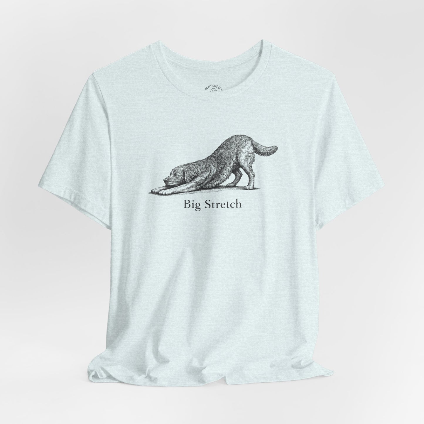 Big Stretch Chesapeake Bay Retriever T-Shirt
