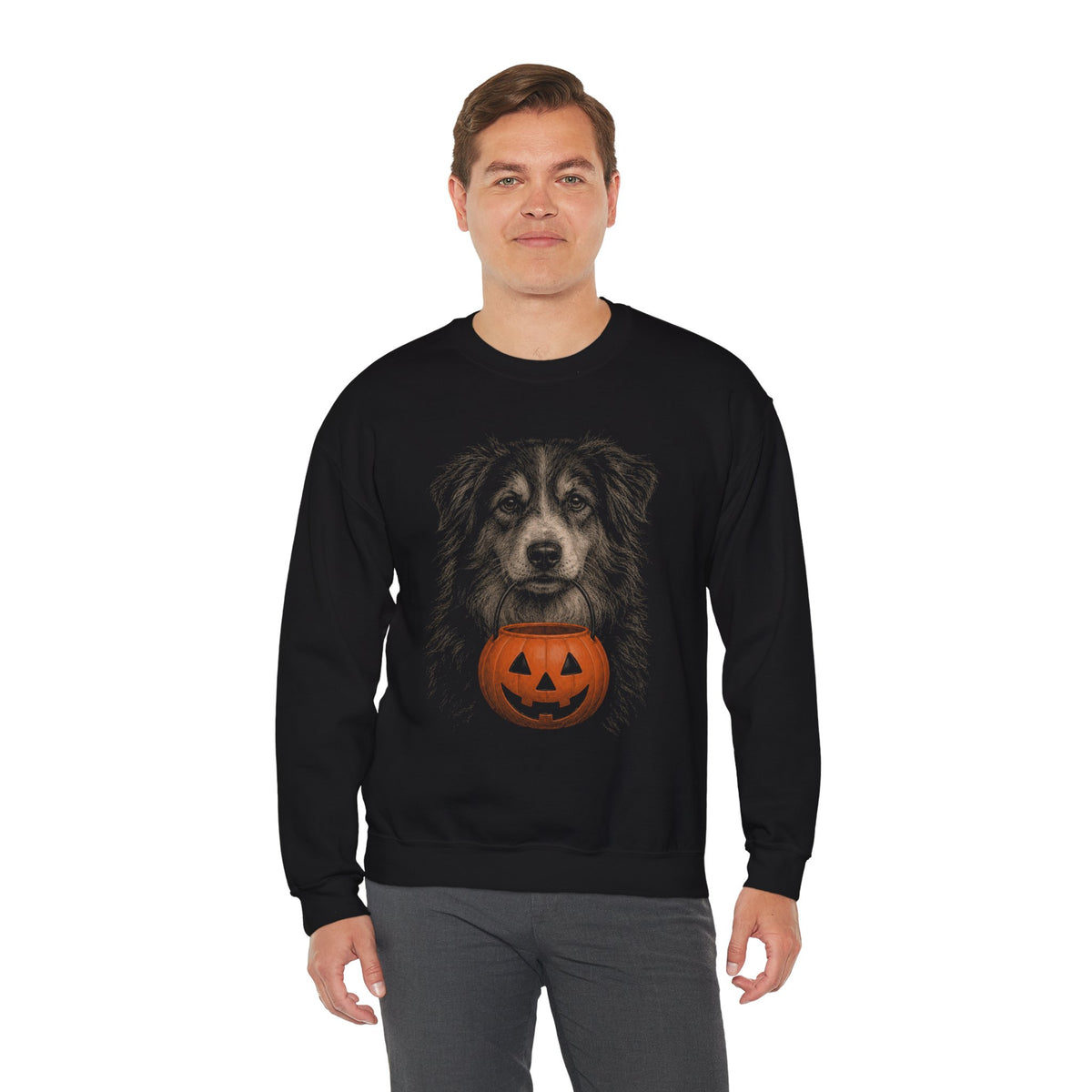 English Shepherd Halloween Sweatshirt – Boop or Treat