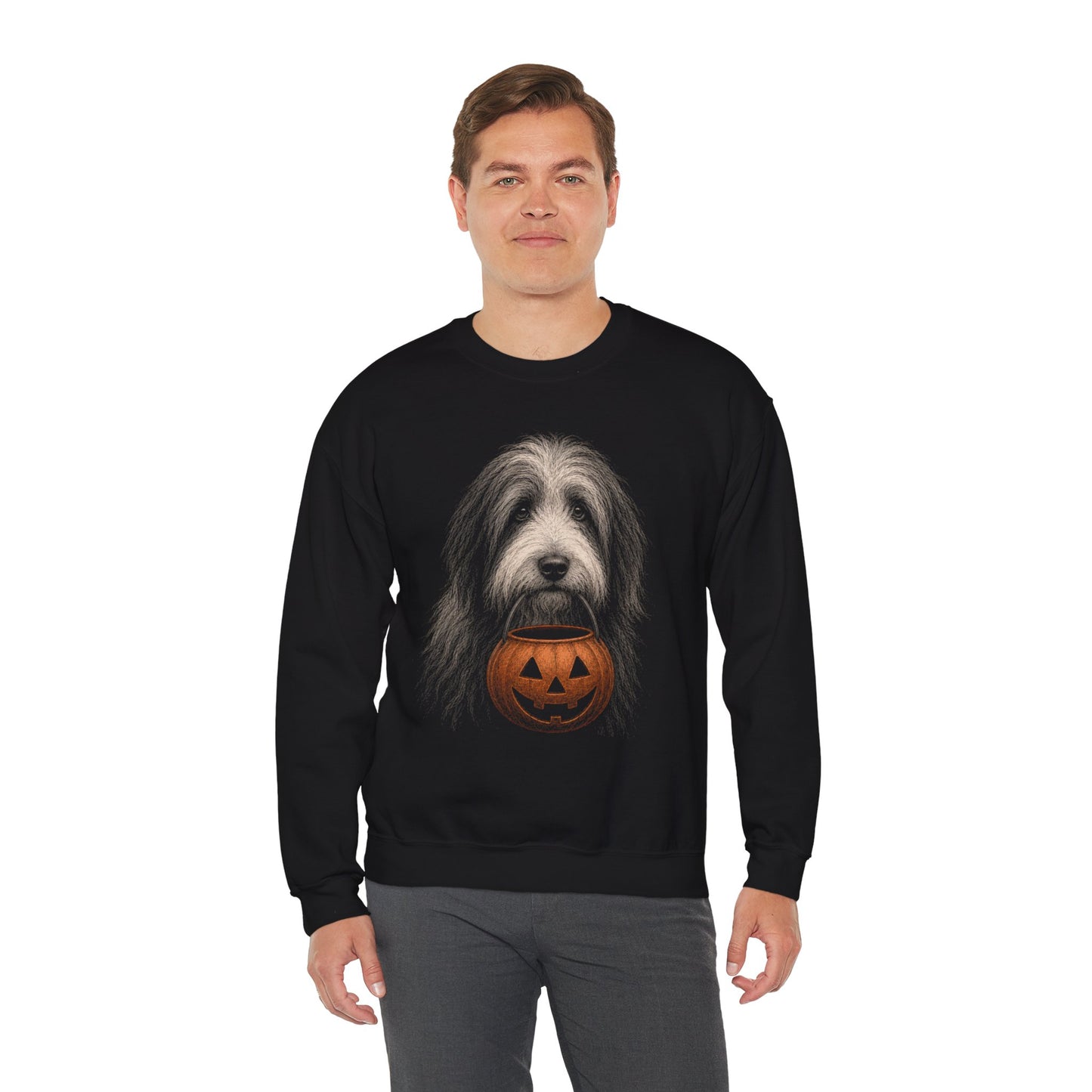 Bearded Collie Halloween Sweatshirt – Boop or Treat