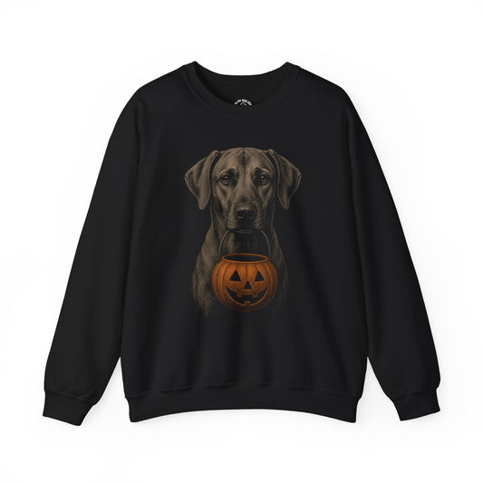 Rhodesian Ridgeback Halloween Sweatshirt – Boop or Treat