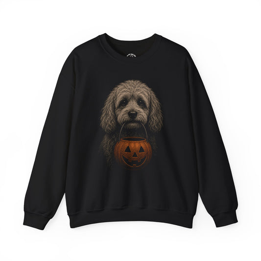 Cavapoo Halloween Sweatshirt – Boop or Treat