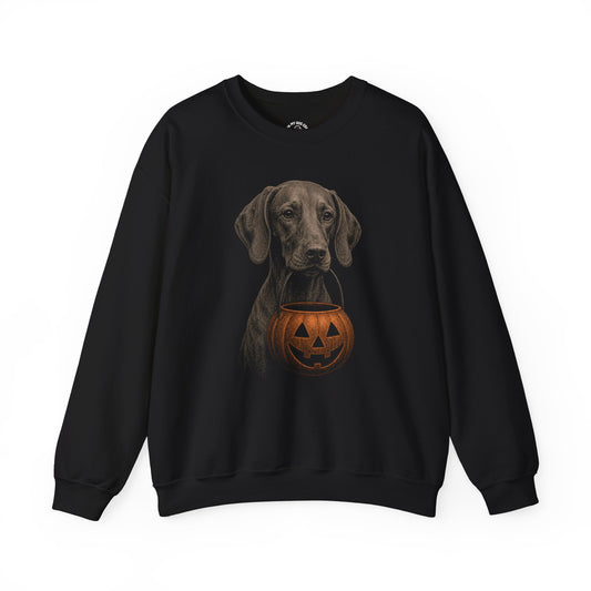 Vizsla Halloween Sweatshirt – Boop or Treat