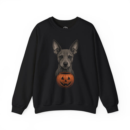 American Hairless Terrier Halloween Sweatshirt – Boop or Treat
