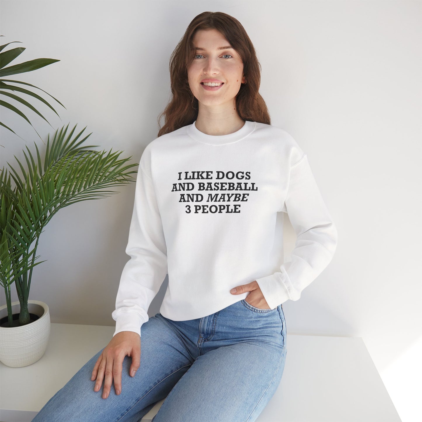 I Like Dogs and Baseball and Maybe 3 People Sweatshirt – Funny Baseball Dog Lover Shirt for Introvert