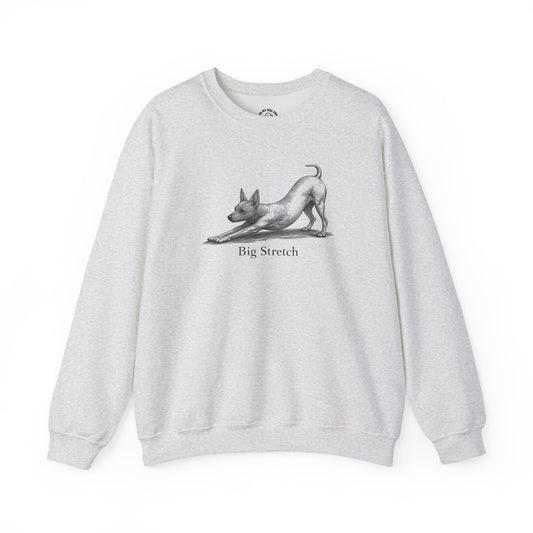 Big Stretch American Hairless Terrier Sweatshirt