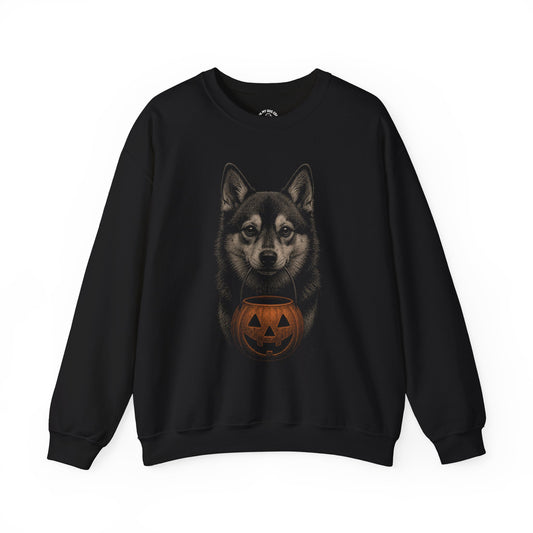Alaskan Klee Kai Halloween Sweatshirt – Boop or Treat