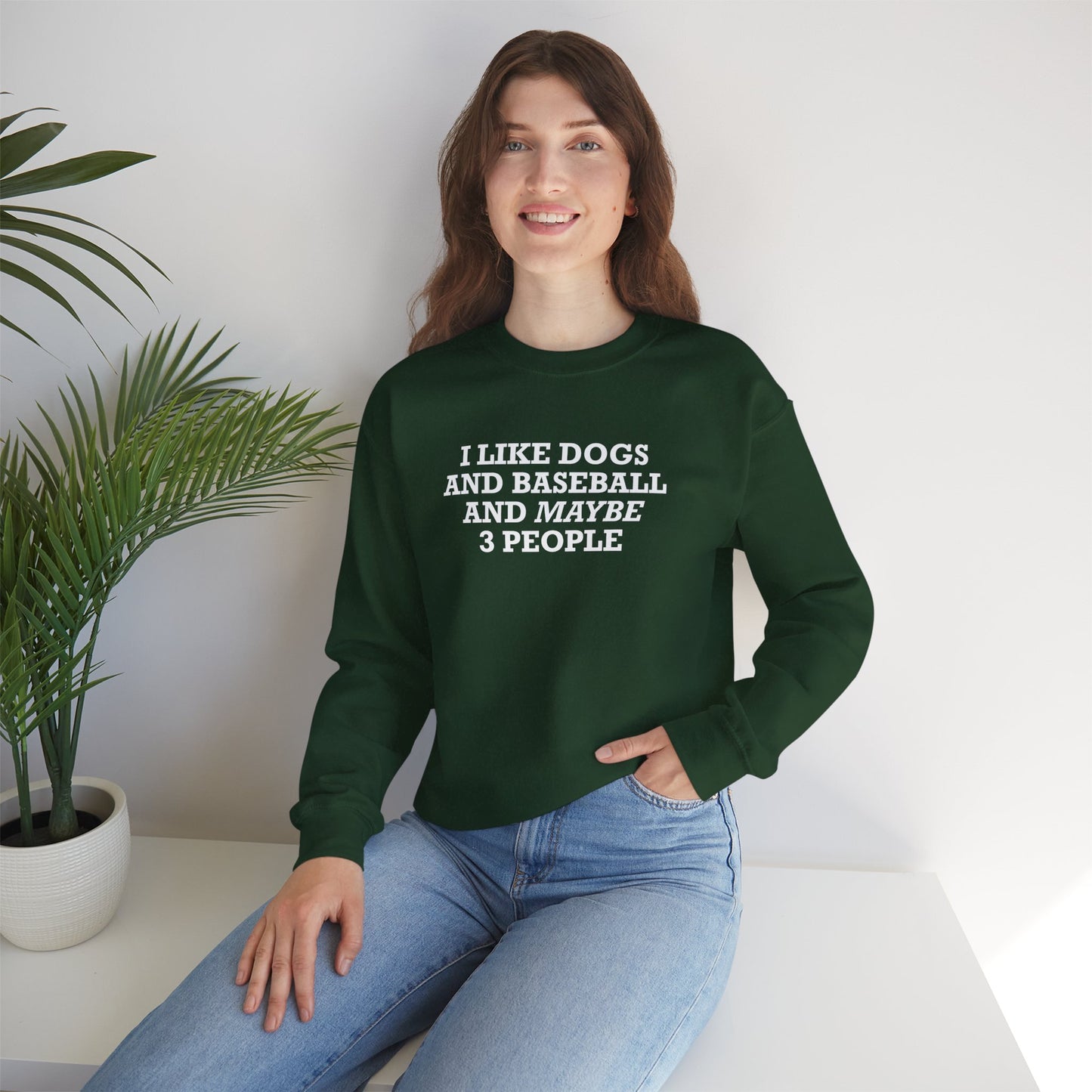 I Like Dogs and Baseball and Maybe 3 People Sweatshirt – Funny Baseball Dog Lover Shirt for Introvert