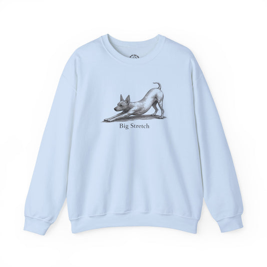 Big Stretch American Hairless Terrier Sweatshirt