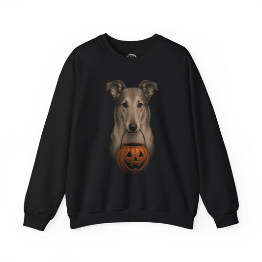 Smooth Collie Halloween Sweatshirt – Boop or Treat