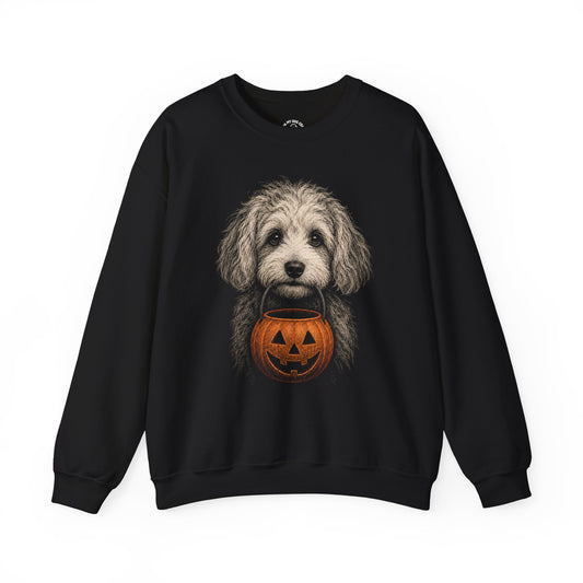 Cavachon Halloween Sweatshirt – Boop or Treat