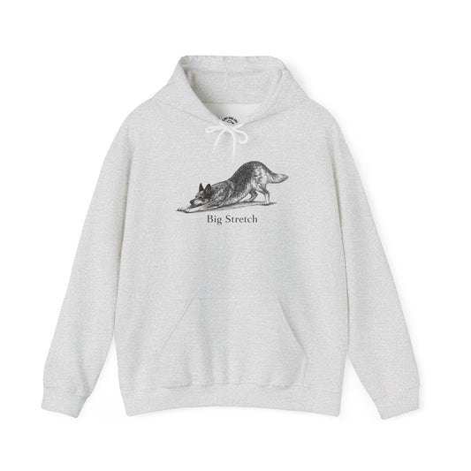 Big Stretch Australian Cattle Dog - Hoodie