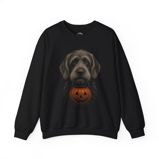 Wirehaired Pointing Griffon Halloween Sweatshirt – Boop or Treat