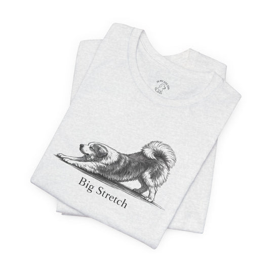 Big Stretch Great Bernese T-Shirt