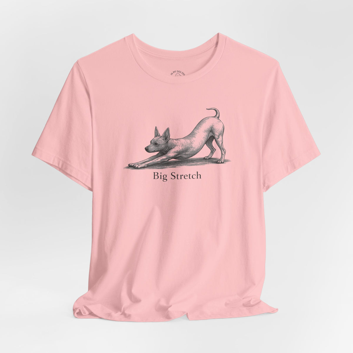 Big Stretch American Hairless Terrier T-Shirt