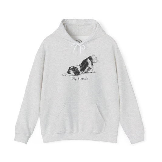 Big Stretch Cavalier King Charles Spaniel - Hoodie