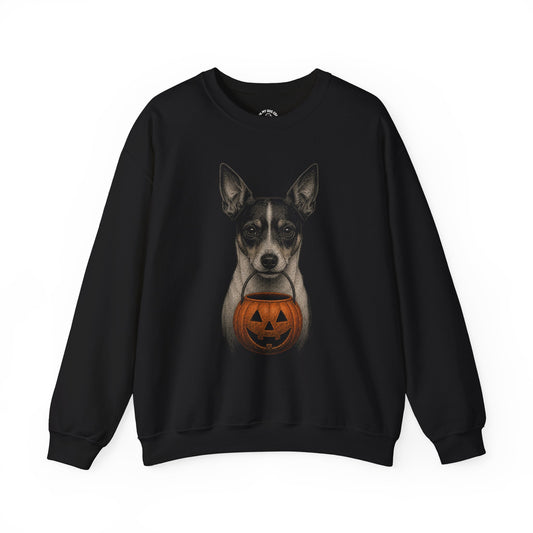 Rat Terrier Halloween Sweatshirt – Boop or Treat