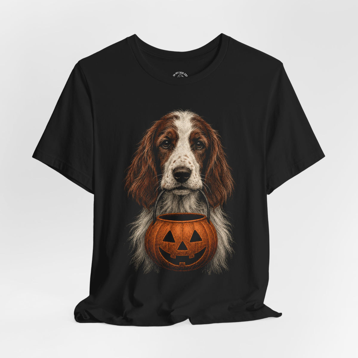 Irish Red and White Setter Halloween T-Shirt – Boop or Treat