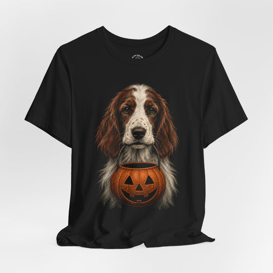 Irish Red and White Setter Halloween T-Shirt – Boop or Treat