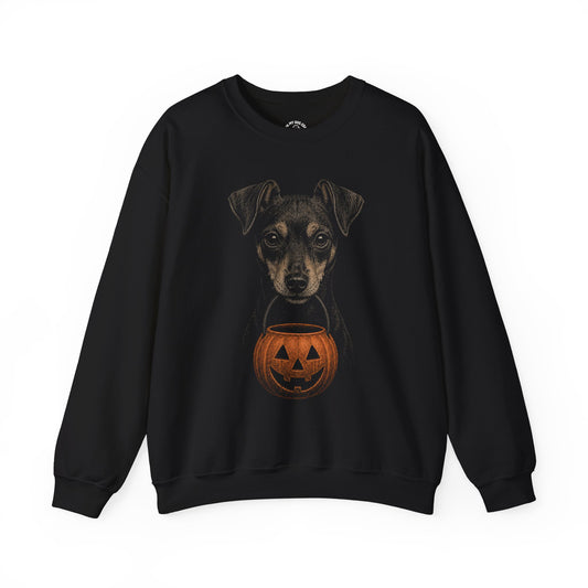 Miniature Pinscher Halloween Sweatshirt – Boop or Treat