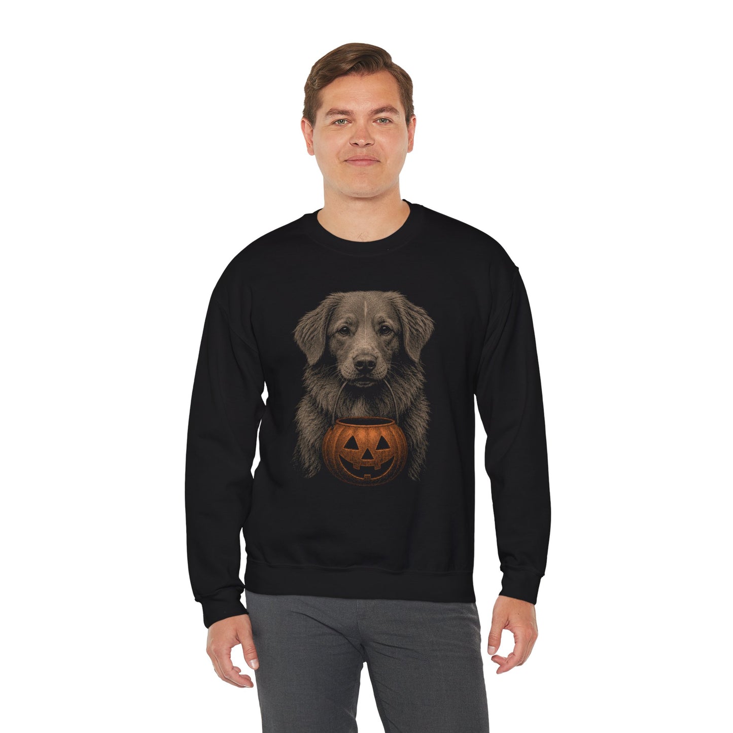 Nova Scotia Duck Tolling Retriever Halloween Sweatshirt – Boop or Treat